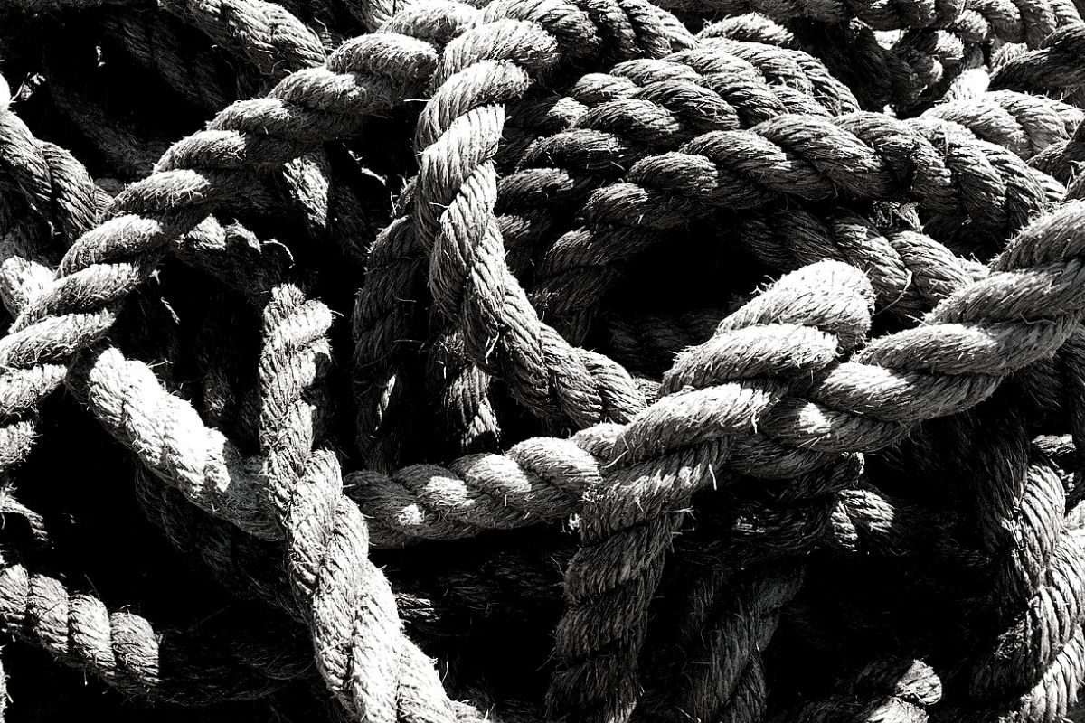 Article : La corde à tout faire (Seconde partie)