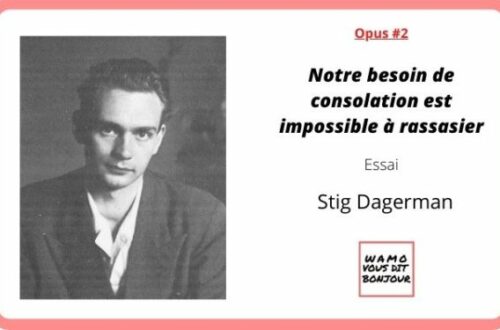 Article : Opus #2 : «Notre besoin de consolation est impossible à rassasier» de Stig Dagerman