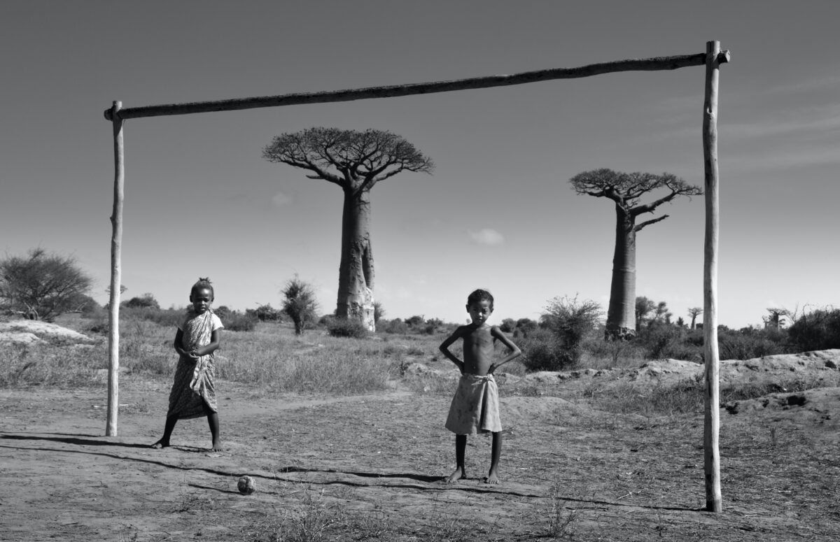 Des enfants et des baobabs